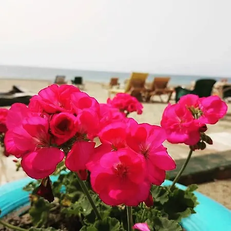 Miss Cleopatra Alanya