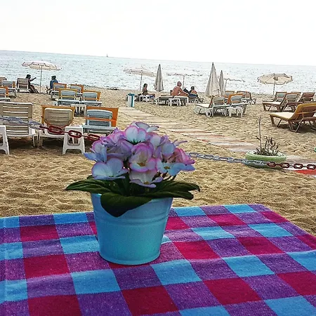 Hotel Miss Cleopatra