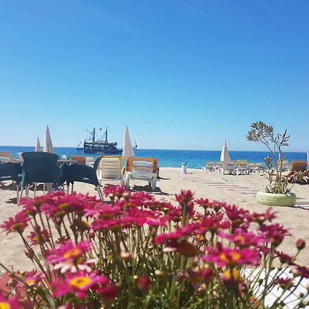 Miss Cleopatra ホテル 2*